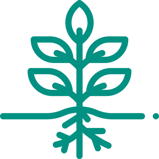 plant icon - ALIGNOLOGY & Associates