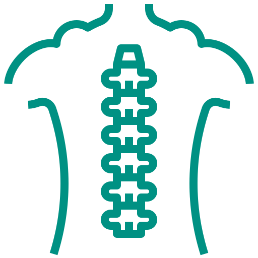 spinal column icon - ALIGNOLOGY & Associates
